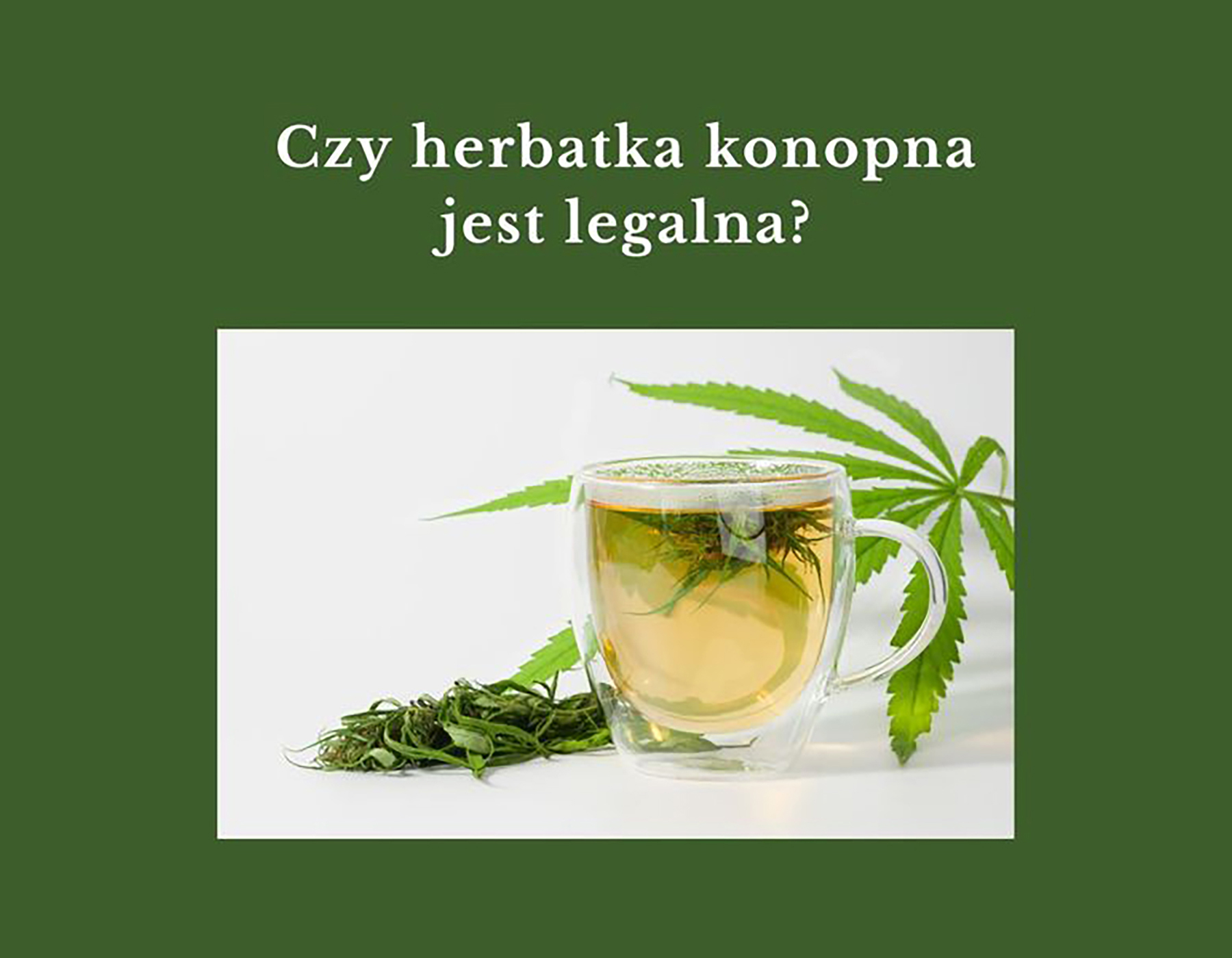 Jak to jest z tą herbatką konopną?